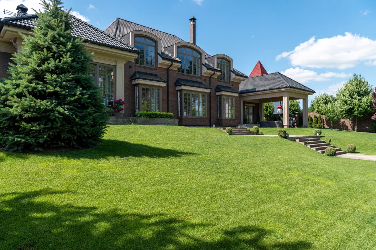 Manicured green lawn and landscaping installed by SagoSharp in Bakersfield
